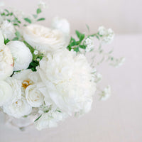 Petite Arrangement - White & Green