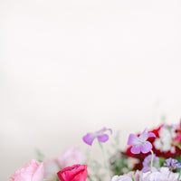Petite Bouquet - Seasonal & Bright