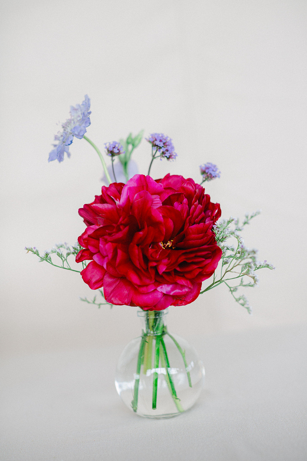 3 Petite Vases - Seasonal & Bright