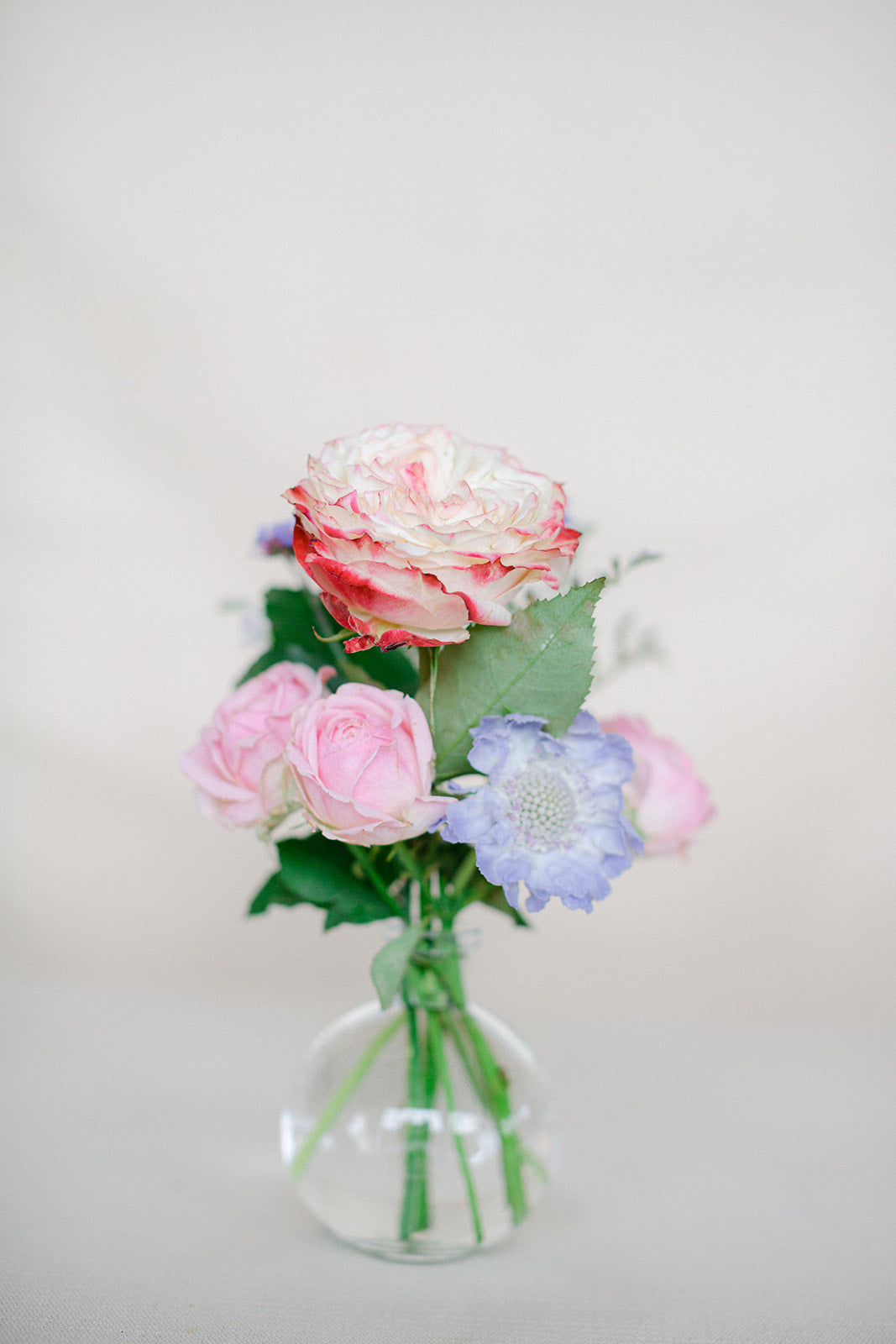 3 Petite Vases - Seasonal & Bright